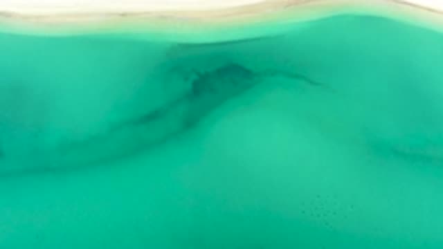 M12-20-1546-09-20-2020-la-ribera-bcs-mexico-DJI_0969_0002.mp4