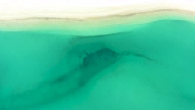 M12-20-1547-09-20-2020-la-ribera-bcs-mexico-DJI_0969_0003.mp4