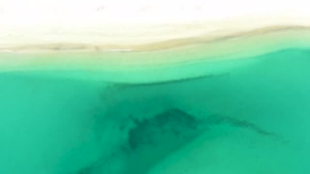 M12-20-1548-09-20-2020-la-ribera-bcs-mexico-DJI_0969_0004.mp4