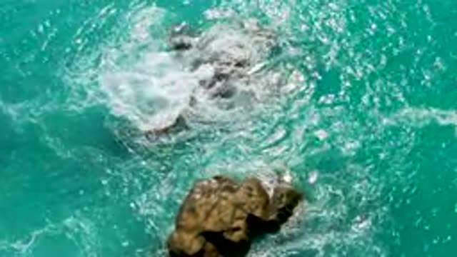 DREAMS BEACH BCS MEXICO-2020: Close Up Shot Of A Shore With Rocks And Waves