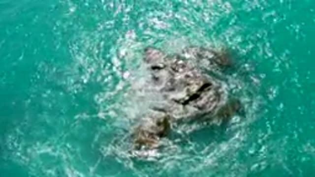 DREAMS BEACH BCS MEXICO-2020: A Brown Heavy Rock Found in the Middle of the Ocean