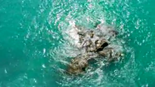DREAMS BEACH BCS MEXICO-2020: Solid Rocks On A Blue Sea Water