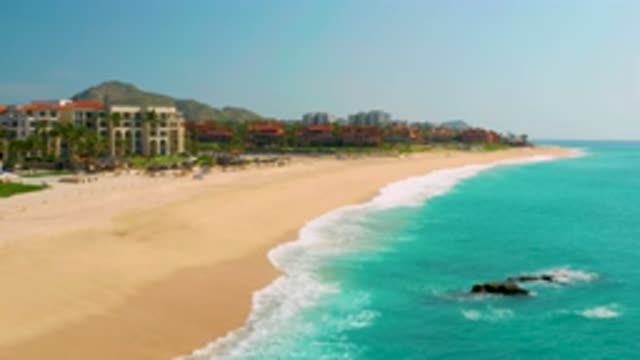 DREAMS BEACH BCS MEXICO-2020: Green And Tall Coconut Trees