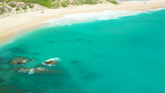 DREAMS BEACH BCS MEXICO-2020: A Beautiful Day Combing The Sea In Search Of The
