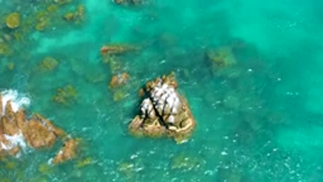 DREAMS BEACH BCS MEXICO-2020: Clean Blue Pure Sea Water With Hard Strong Rocks