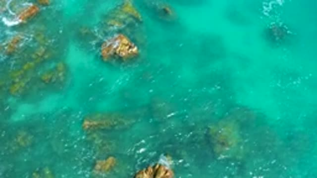 DREAMS BEACH BCS MEXICO-2020: Recommended Beach Resort For The Whole Family