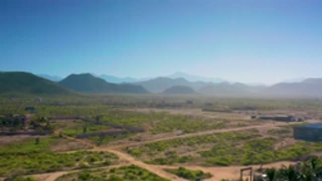 CERRITOS BCS MEXICO-2020: Green Trees And Bushes With Bright Blue Sky