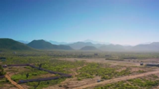 CERRITOS BCS MEXICO-2020: Green Tall Trees And Short Bushes Vast Area With Blue Sky