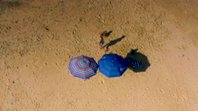 CERRITOS BCS MEXICO-2020: Woman Plays Frisbee With Her Dog On The Beach
