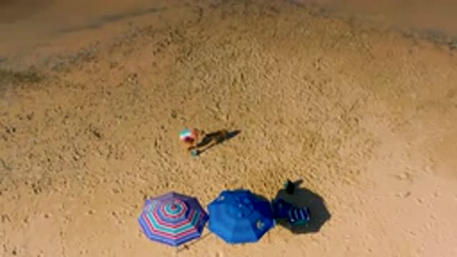 CERRITOS BCS MEXICO-2020: Women Playing Catch With Dog On The Beach