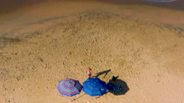 CERRITOS BCS MEXICO-2020: Overhead View of Woman and Dog on the Beach