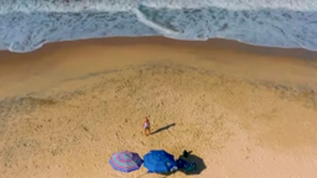 CERRITOS BCS MEXICO-2020: Vast Sand Beach Blue Umbrella With Pet Dog Running