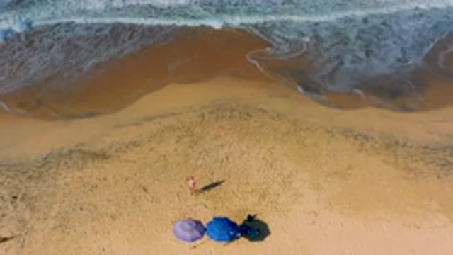 CERRITOS BCS MEXICO-2020: People Sunbathing Under Beach Umbrellas And Dog