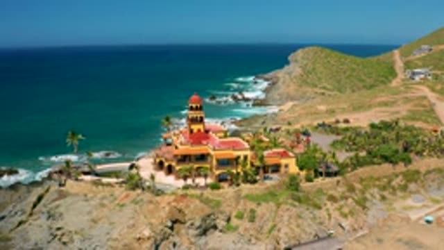 CERRITOS BCS MEXICO-2020: Green Tall Coconut Trees Around