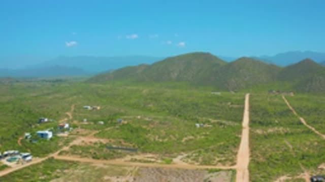 CERRITOS BCS MEXICO-2020: Muddy Narrow Roads With Short Green Bushes And Tall Vegetation