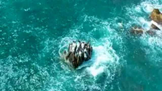 SECRETS MARQUIS LOS CABOS MEXICO-2020: Intense Blue Water With White Foam Swirls