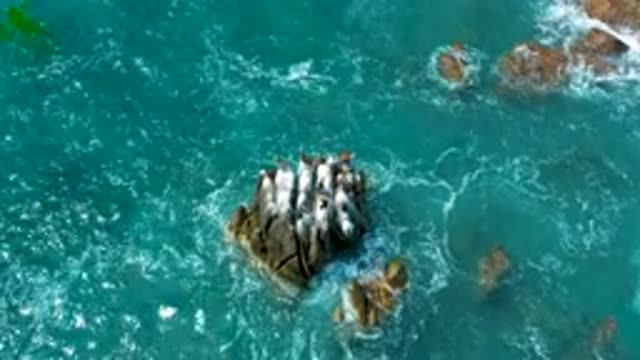 SECRETS MARQUIS LOS CABOS MEXICO-2020: Inside The Crystal Clear Sea Water Is A