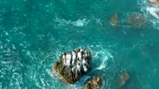 SECRETS MARQUIS LOS CABOS MEXICO-2020: Waves Crashing Into Rocks In Ocean