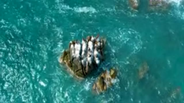 SECRETS MARQUIS LOS CABOS MEXICO-2020: Sea Waves Hitting Fast To Rock Located