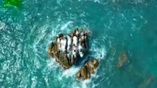 SECRETS MARQUIS LOS CABOS MEXICO-2020: Water Flows Around Rocks