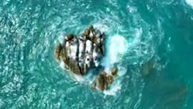 SECRETS MARQUIS LOS CABOS MEXICO-2020: Waves Crash Against White Topped Rocks In
