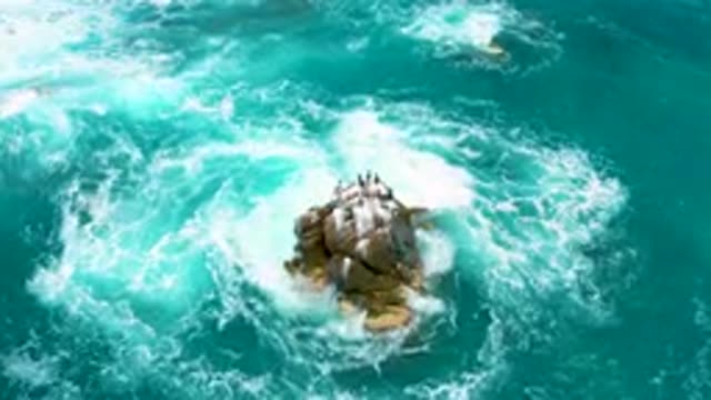 SECRETS MARQUIS LOS CABOS MEXICO-2020: Camera Zooms In Slowly On What Appears To