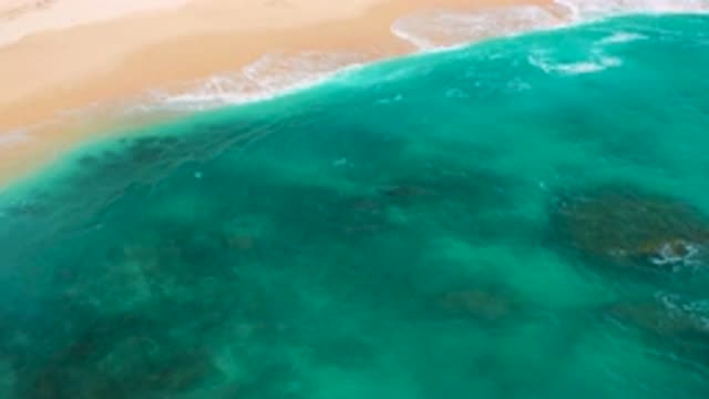 SECRETS MARQUIS LOS CABOS MEXICO-2020: Movement Ocean Sand Beach Green Blue