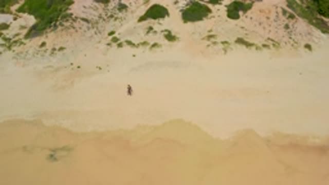 SECRETS MARQUIS LOS CABOS MEXICO-2020: People On The Beach