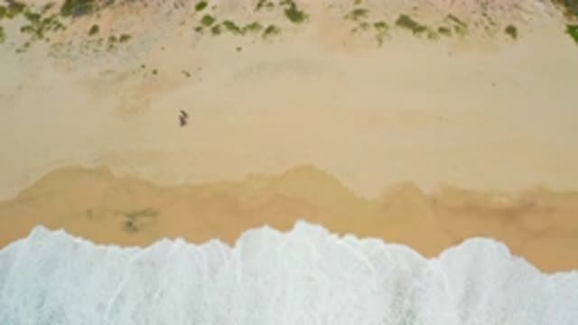 SECRETS MARQUIS LOS CABOS MEXICO-2020: Overhead View Of A Person Walking Along A Beach