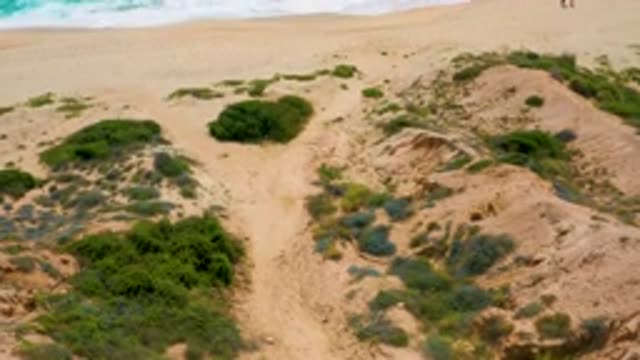 SECRETS MARQUIS LOS CABOS MEXICO-2020: Sand With Bushes And Beach With Waves