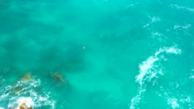 SECRETS MARQUIS LOS CABOS MEXICO-2020: Tropical Ocean With Outstanding Waves
