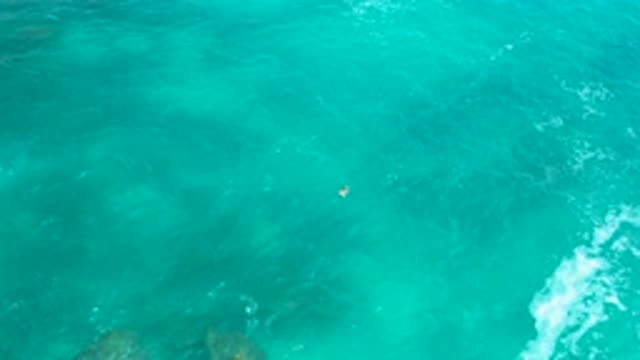 SECRETS MARQUIS LOS CABOS MEXICO-2020: Gentle Waves On A Green Deep Ocean