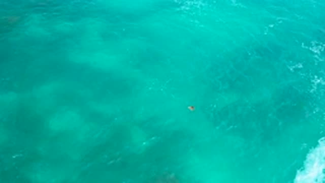 SECRETS MARQUIS LOS CABOS MEXICO-2020: A Sky View Of A Person Swimming In A Huge