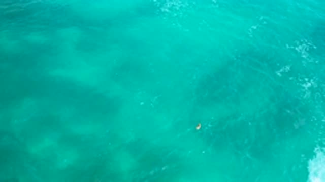 SECRETS MARQUIS LOS CABOS MEXICO-2020: Sky High Overhead View of Lone Swimmer in Green Ocean