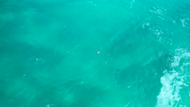 SECRETS MARQUIS LOS CABOS MEXICO-2020: Blue Ocean Water Moving With Boat