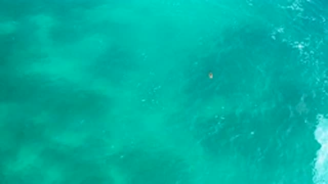 SECRETS MARQUIS LOS CABOS MEXICO-2020: Water Waves Green Blue Sea Person Swimming