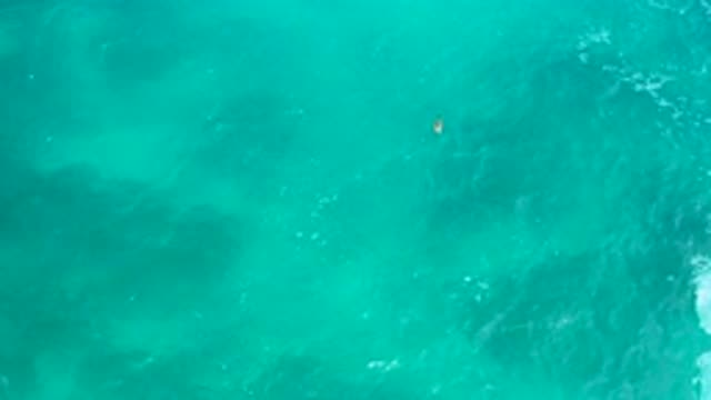 SECRETS MARQUIS LOS CABOS MEXICO-2020: A Placid Tropical Ocean Where The Waves