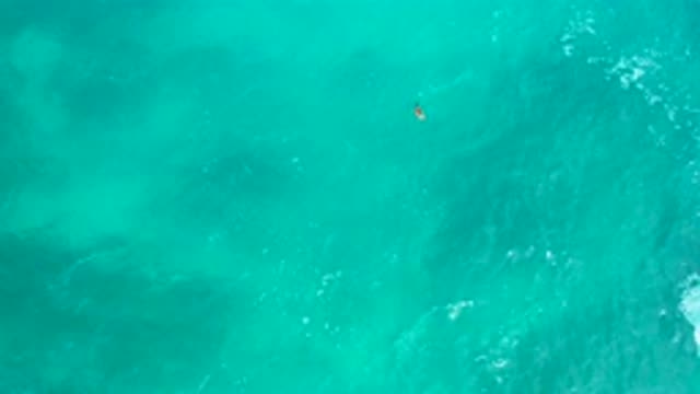 SECRETS MARQUIS LOS CABOS MEXICO-2020: A Boat Or A Surfer In The Ocean