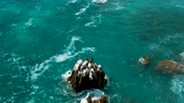 SECRETS MARQUIS LOS CABOS MEXICO-2020: Waves Crashing Into Rocks Near Shore