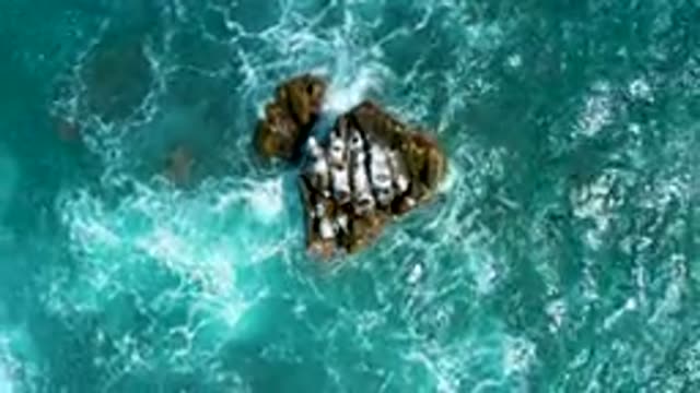 SECRETS MARQUIS LOS CABOS MEXICO-2020: Beautiful and Green and Deep Ocean in