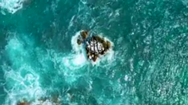 SECRETS MARQUIS LOS CABOS MEXICO-2020: Ocean And Rainforest