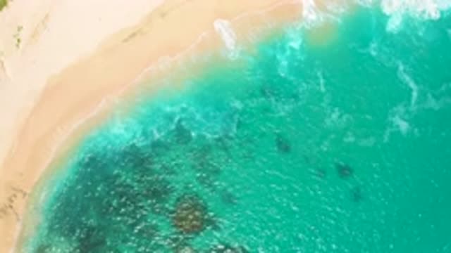 SECRETS MARQUIS LOS CABOS MEXICO-2020: Drone Footage Of Aerial View Of Beautiful Beach And Ocean