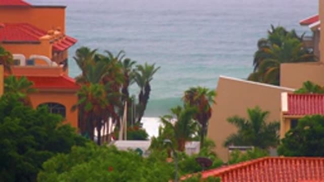 SAN JOSE DEL CABO BCS MEXICO-2020: Wind Moving The Trees And Increasing The Waves