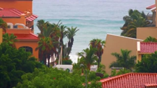 SAN JOSE DEL CABO BCS MEXICO-2020: Nice Building Surrounded by Green Tall