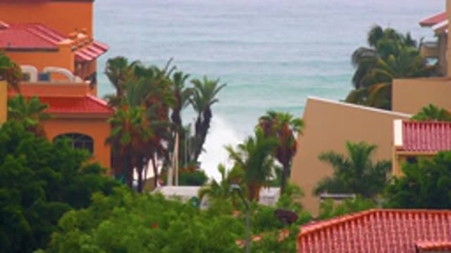 SAN JOSE DEL CABO BCS MEXICO-2020: Big Building And Green Tall Coconut Trees