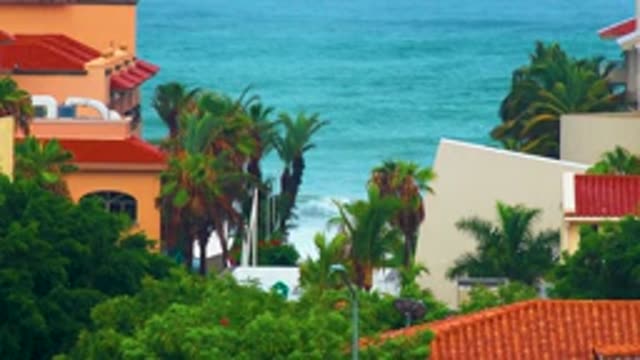 SAN JOSE DEL CABO BCS MEXICO-2020: Wind Blows Through Trees And Creates Waves