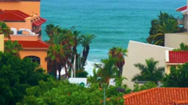 SAN JOSE DEL CABO BCS MEXICO-2020: Houses And Wind Moving Palm Trees Before