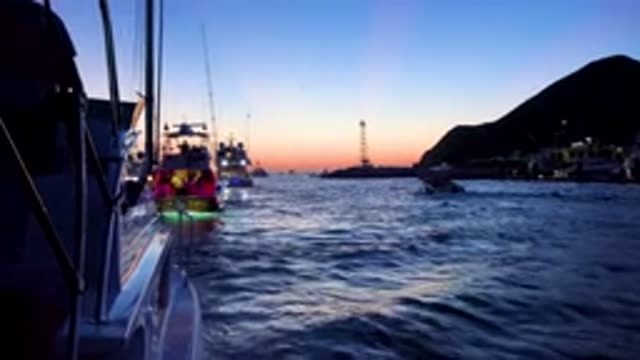 CABO SAN LUCAS MEXICO-2020: Traveling Yachts On A Clear Mid-Afternoon
