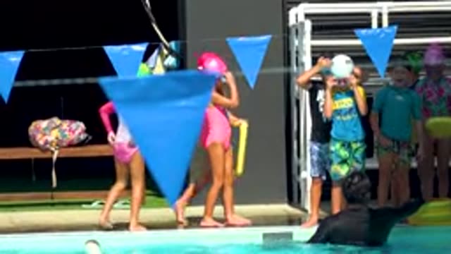 CABO SAN LUCAS MEXICO-2020: A Group Of Boys And Girls Preparing To Jump Into A Pool