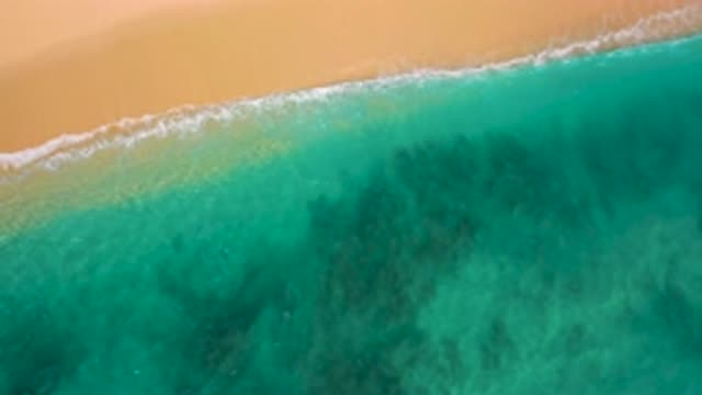 EL CARDONCITO BCS MEXICO-2020: Mesmerizing Waves Cresting Upon An Aquamarine Shoreline